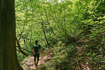 五頭山登山