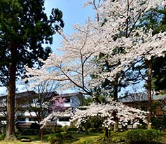 春の庭園2