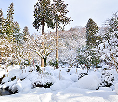 冬の庭園3