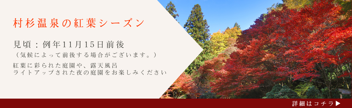 紅葉情報