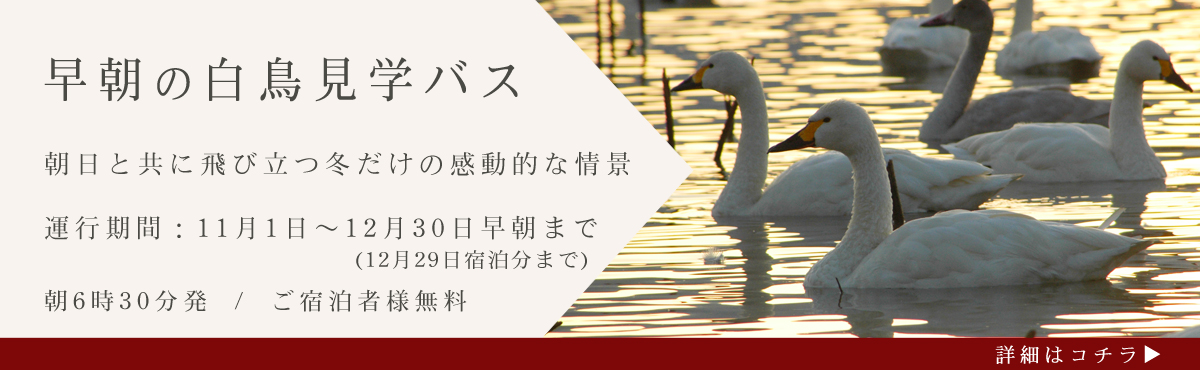 公式ホームページからのご予約が一番お得!!