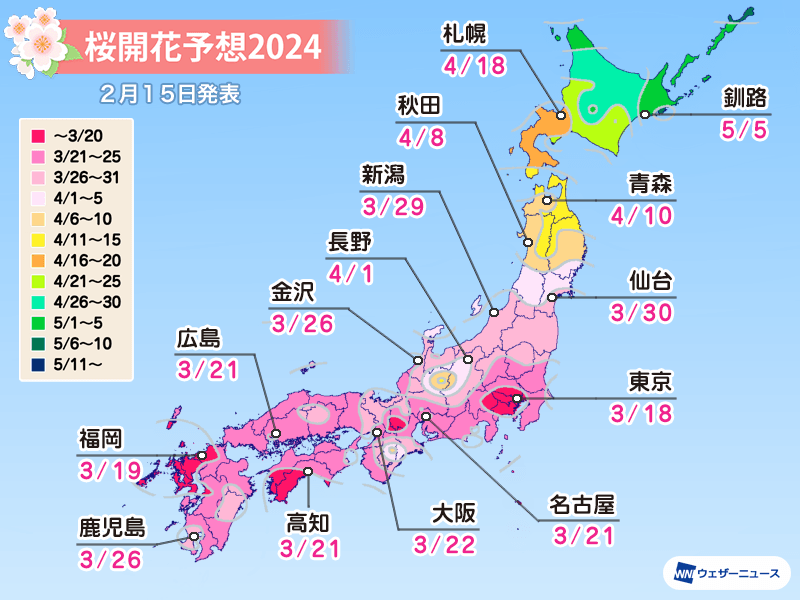 2024年桜開花情報♪