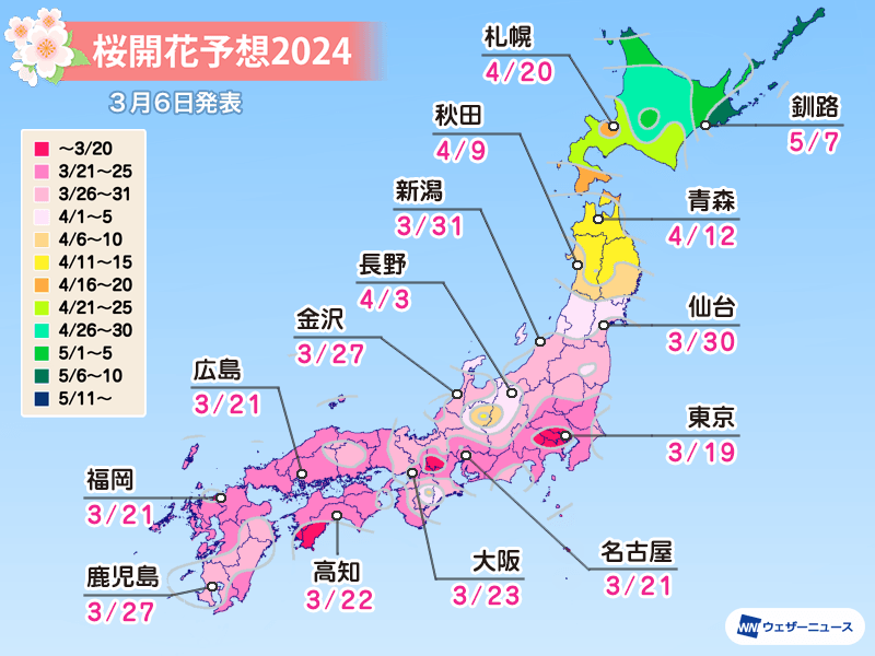 3/6現在　2024年桜開花情報！