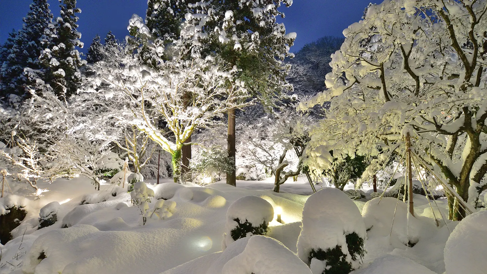 長生館イメージ