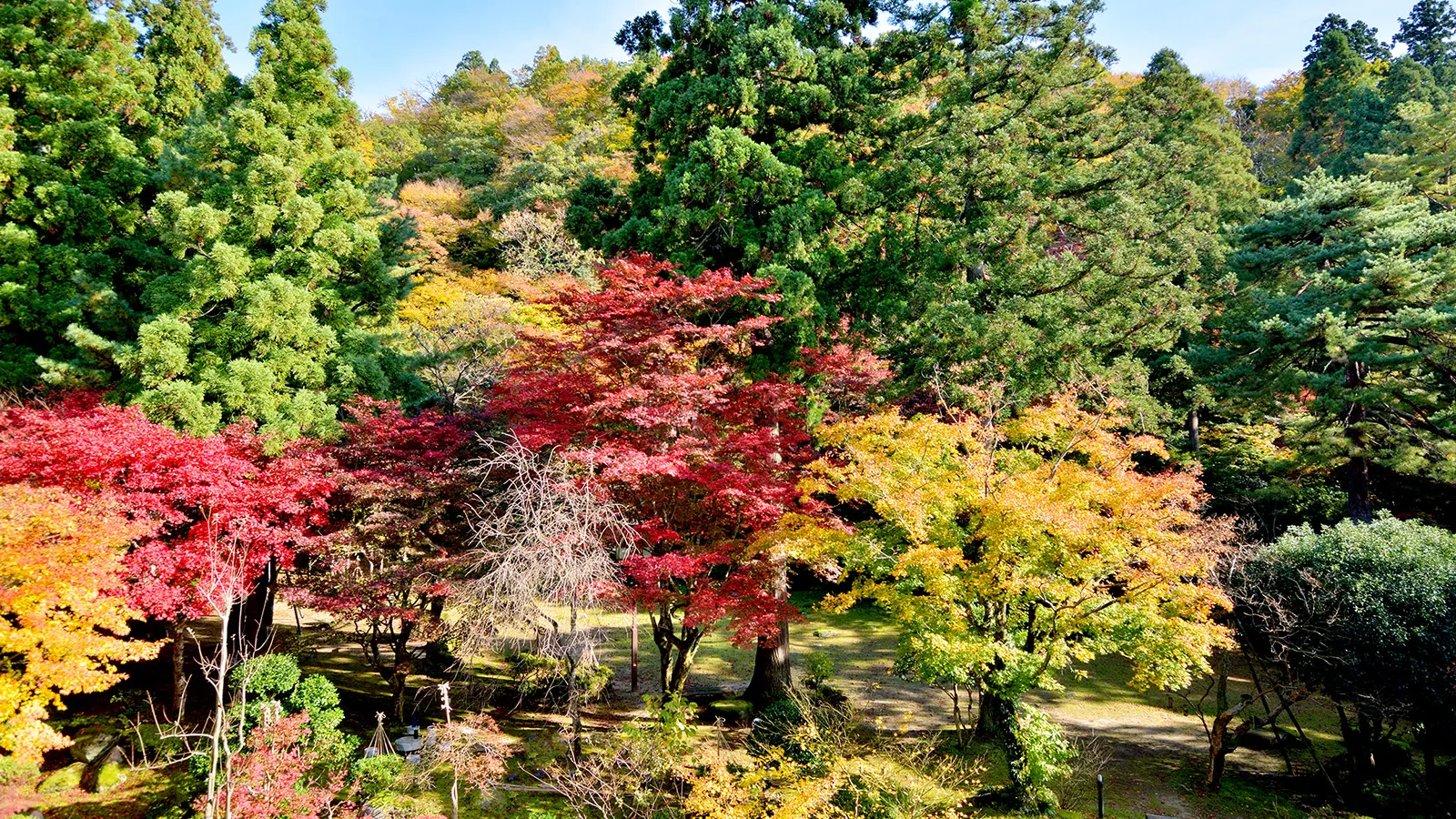 長生館イメージ