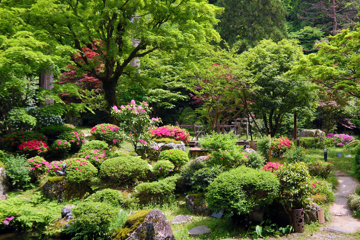 庭園のお花が素敵です