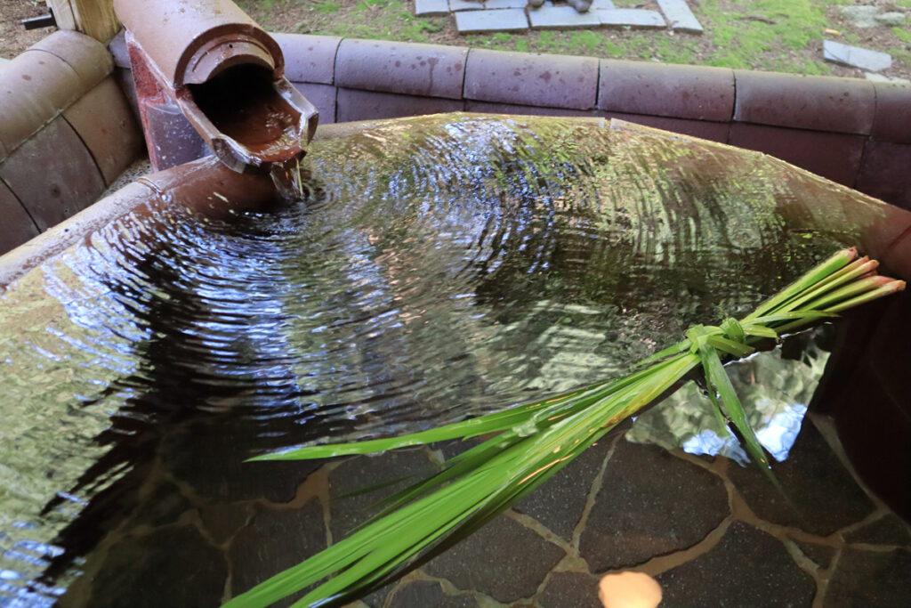 菖蒲(しょうぶ)湯を行いました