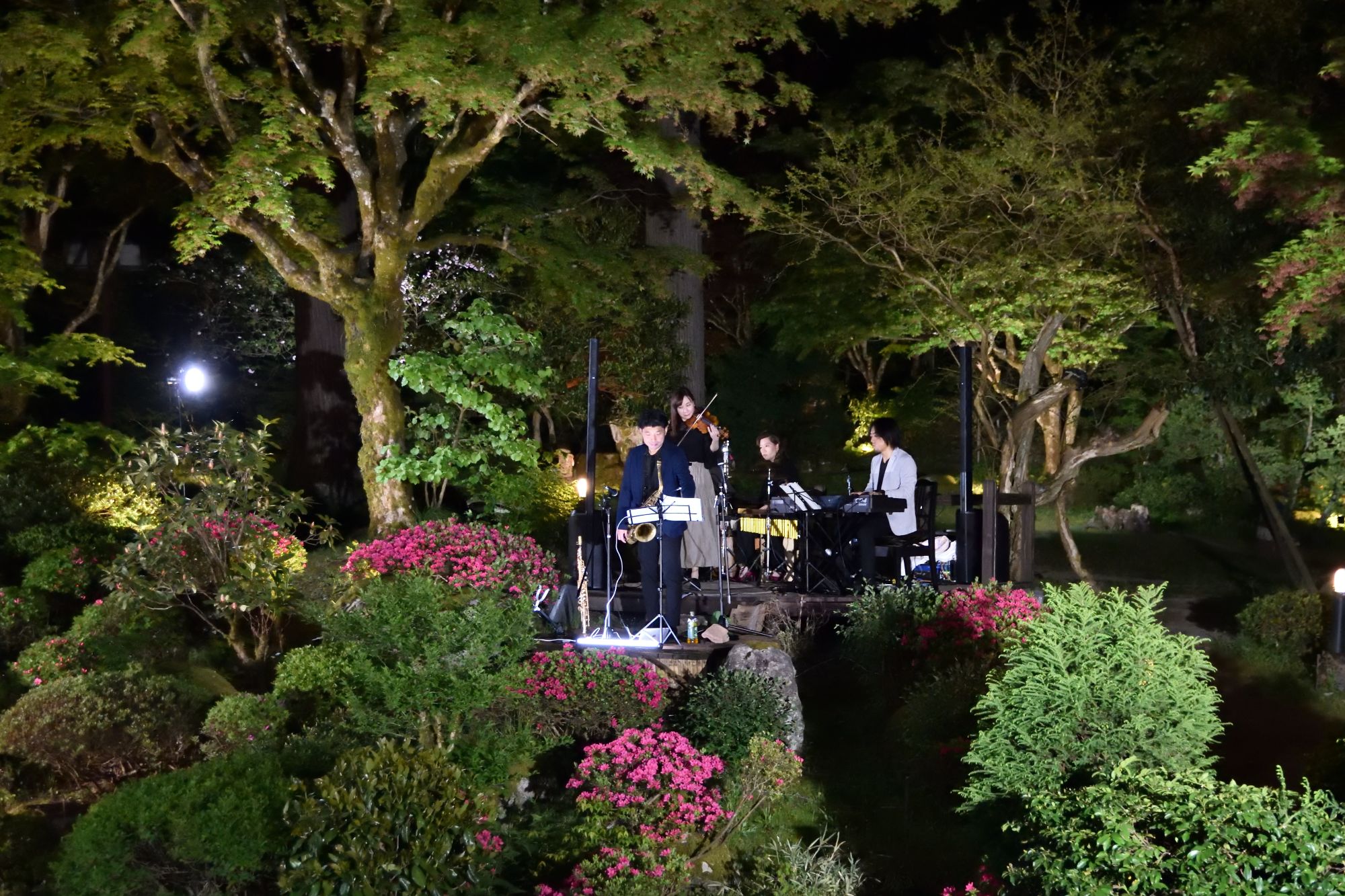 バイオリン演奏風景