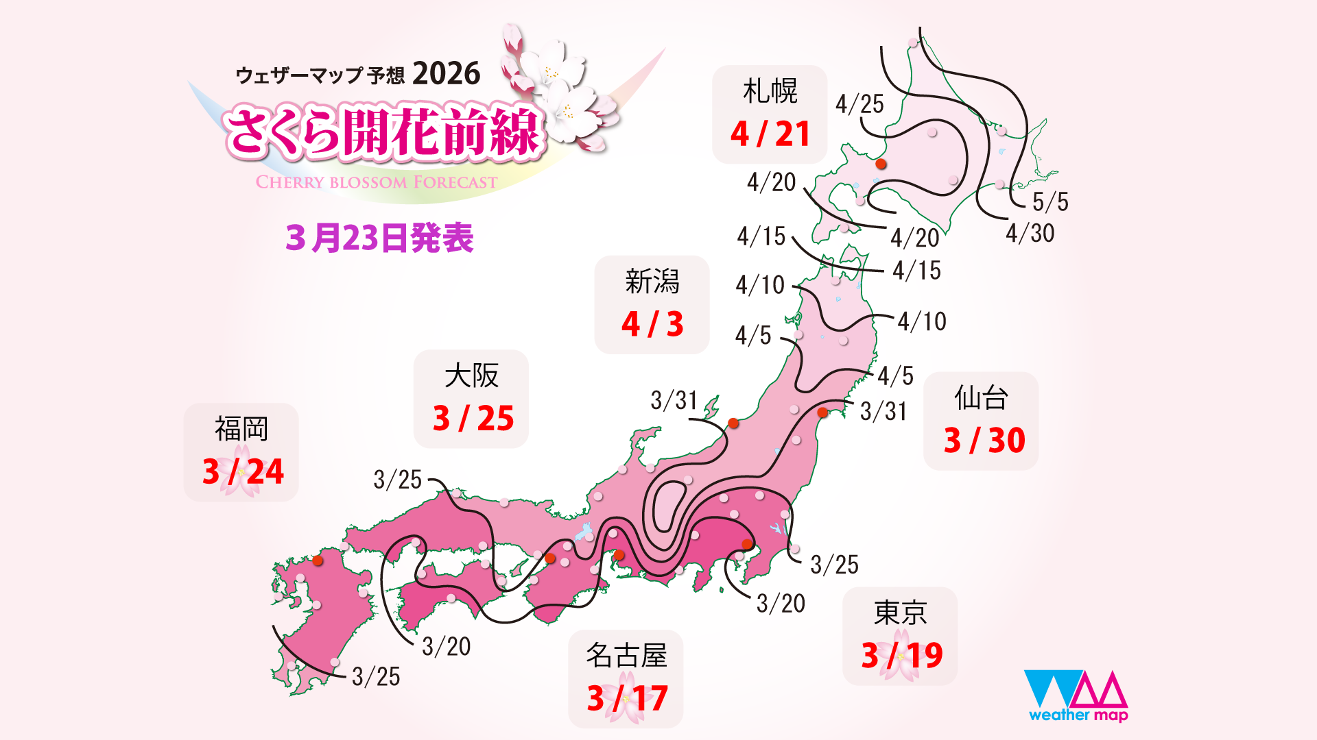 桜の見ごろは？「桜の開花予想2026」※3/25更新