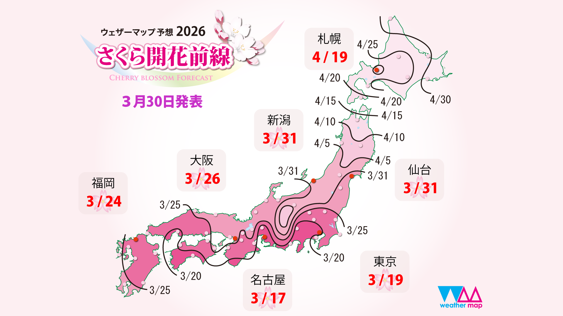 いよいよ開花間近！「桜の開花予想2026」※4/1更新