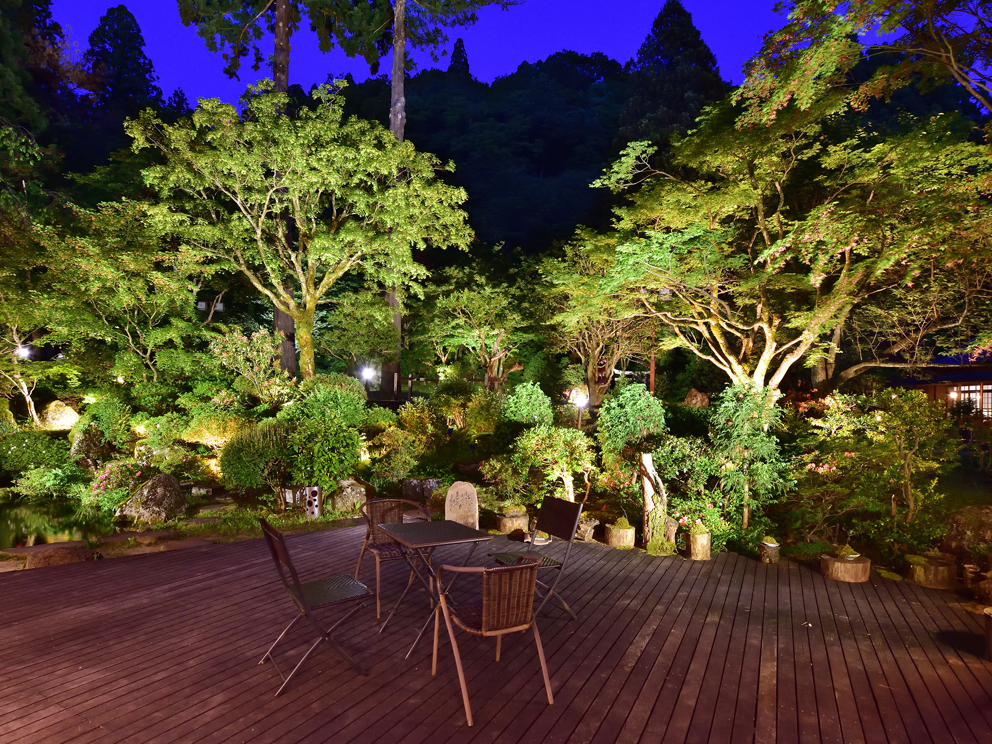 夜の庭園