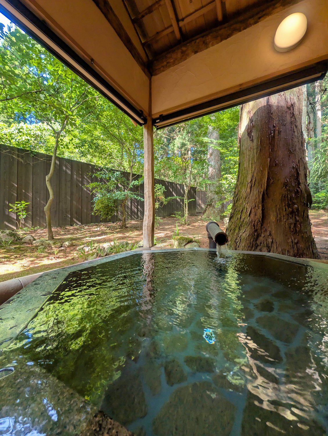 森の癒し湯