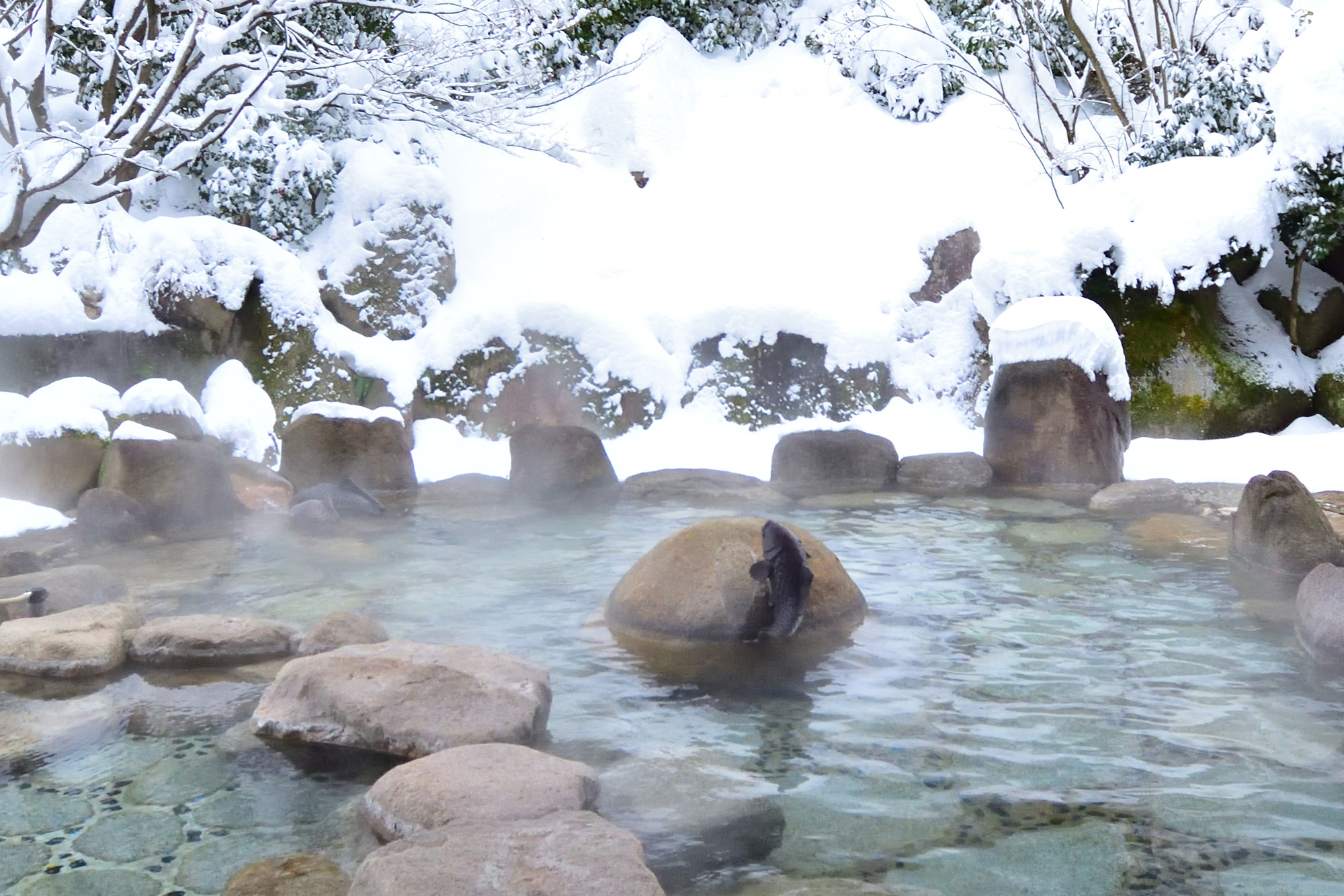 雪見露天風呂