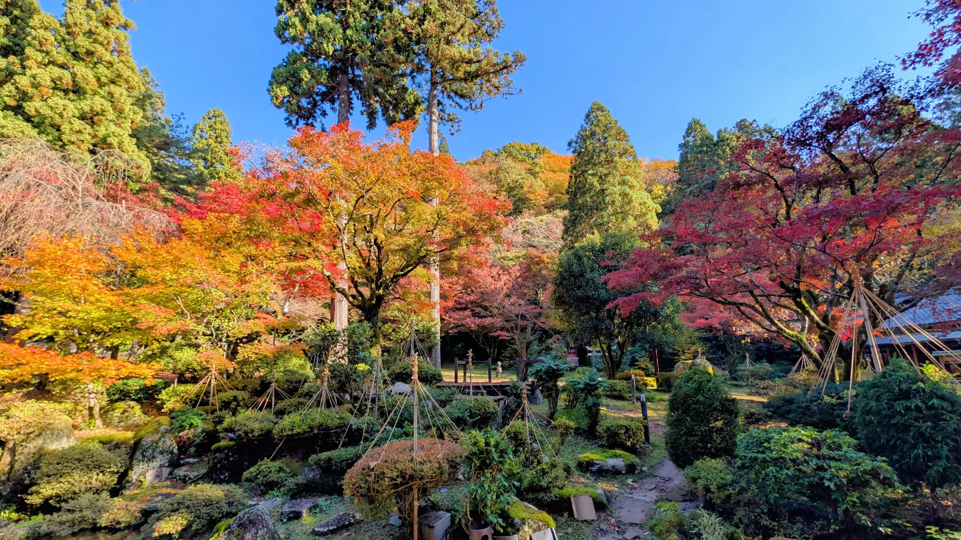 長生館イメージ
